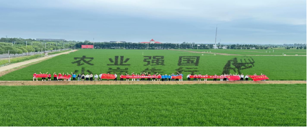 沙巴体育